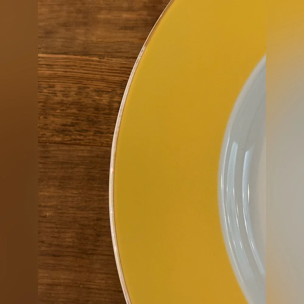 4 Pottery Barn Great White Pasta Bowls. Colorful | Gold Rimmed | 10.5” | Bold